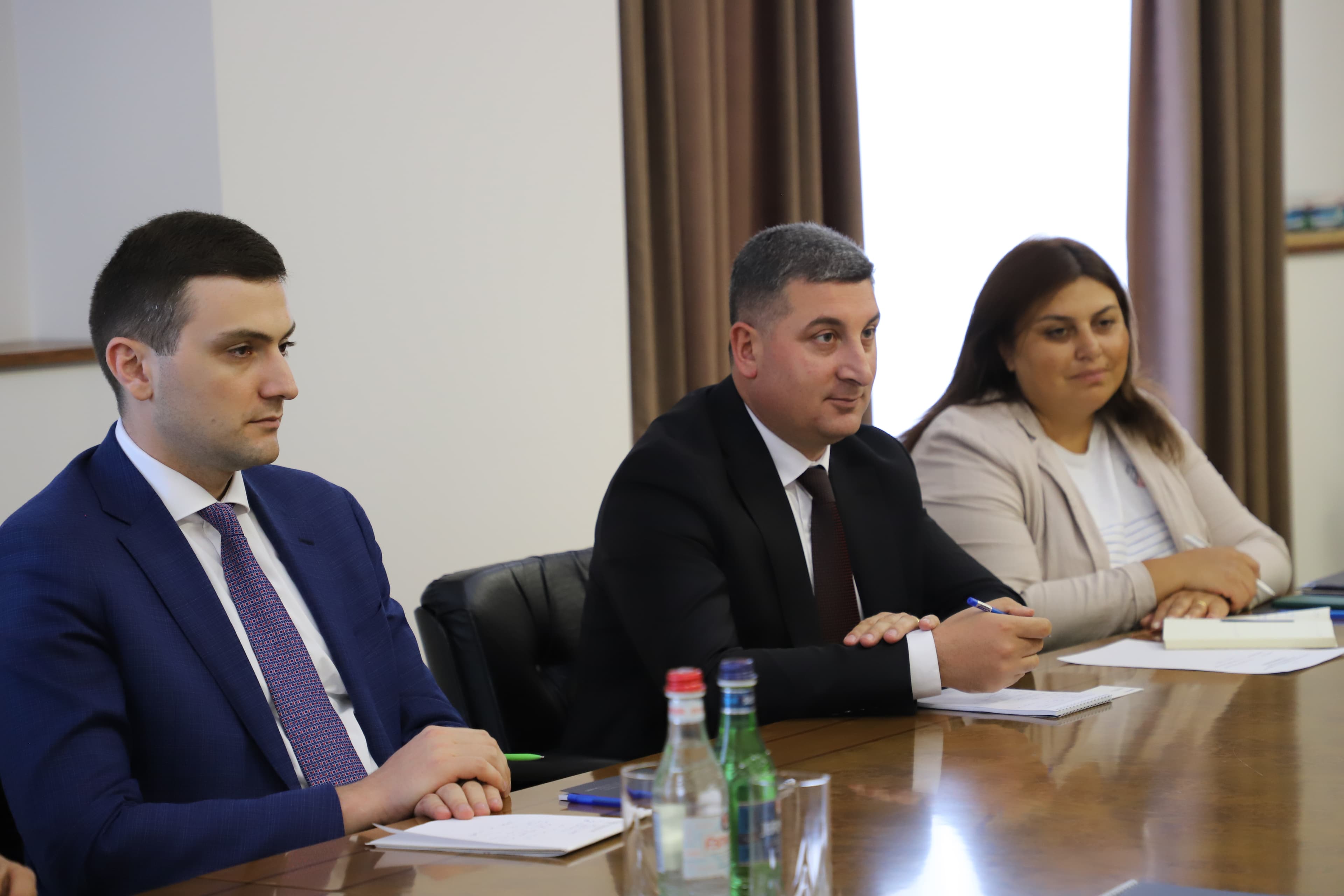 ՏԿԵ նախարար Գնել Սանոսյանն ընդունել է «Fly Arna» ընկերության գործադիր  տնօրեն Էնթոնի Փրայսին 