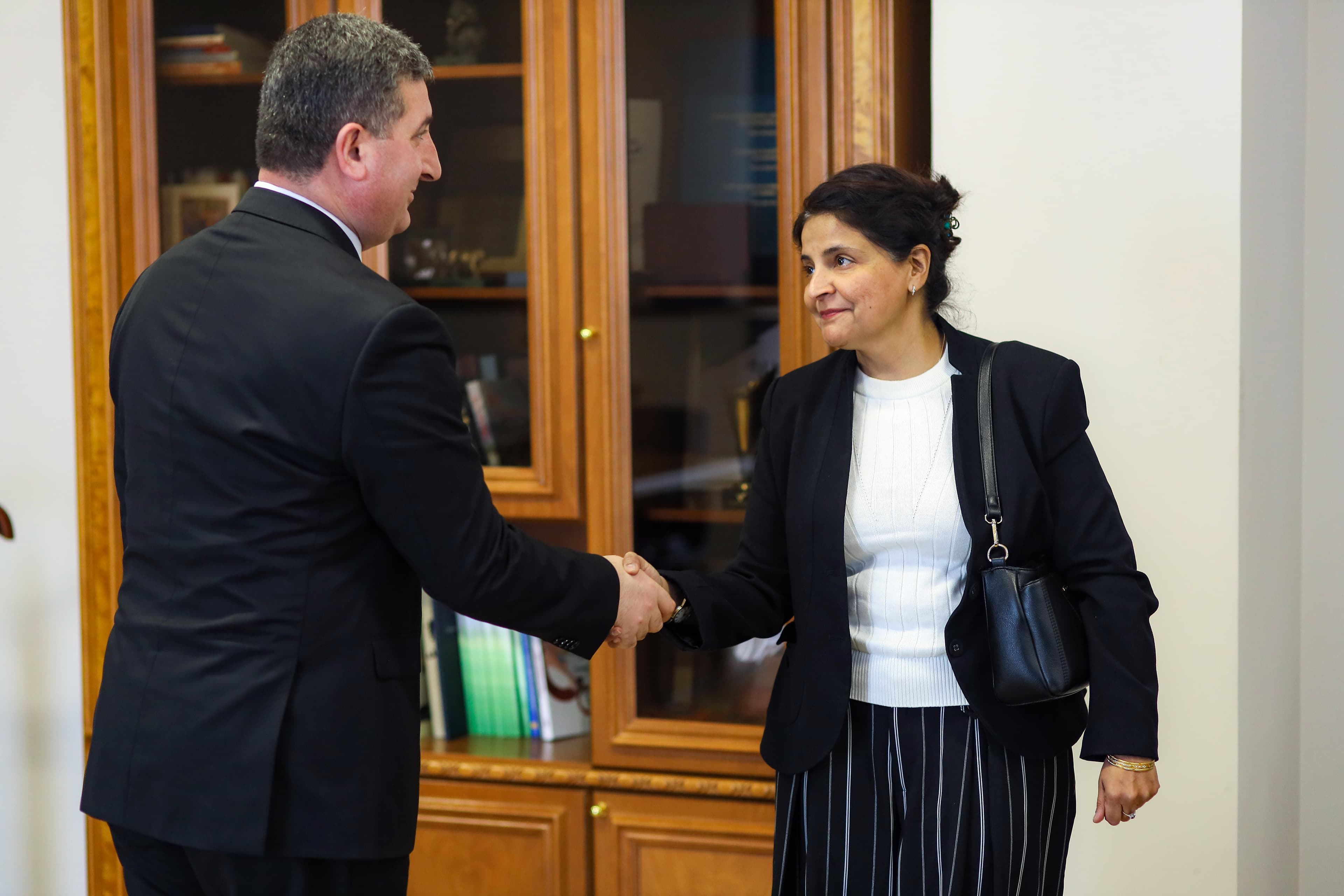 ՀՀ ՏԿԵ նախարար Գնել Սանոսյանն ընդունել է ՀՀ-ում ՄԱԿ ՓԳՀ գրասենյակի նորանշանակ ներկայացուցիչ Կավիտա Բելանիին