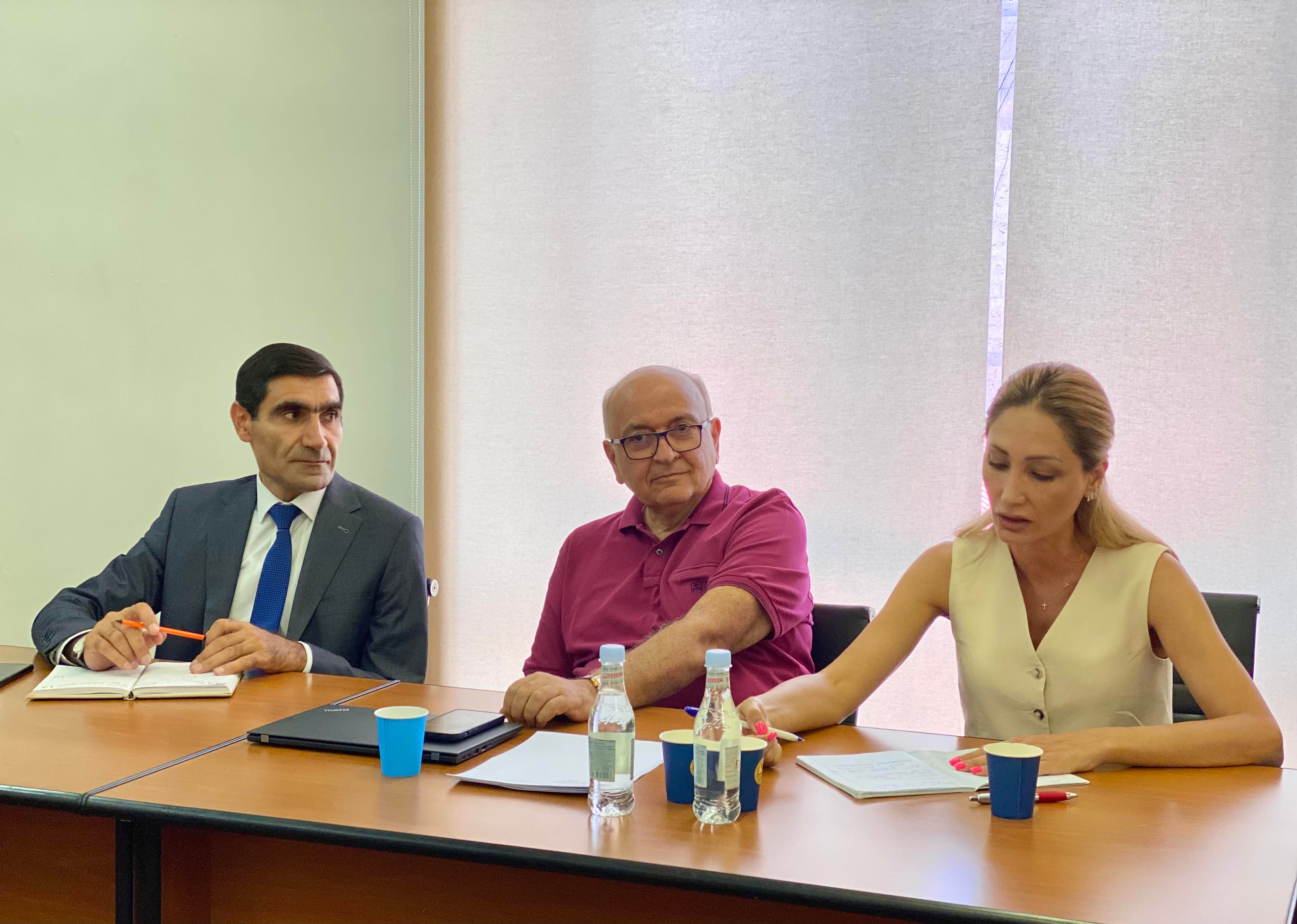 ՀՀ ՏԿԵ նախարարի տեղակալ Վաչե Տերտերյանը ՀԲ ներկայացուցիչների հետ քննարկել է WISE ծրագրի մանրամասները