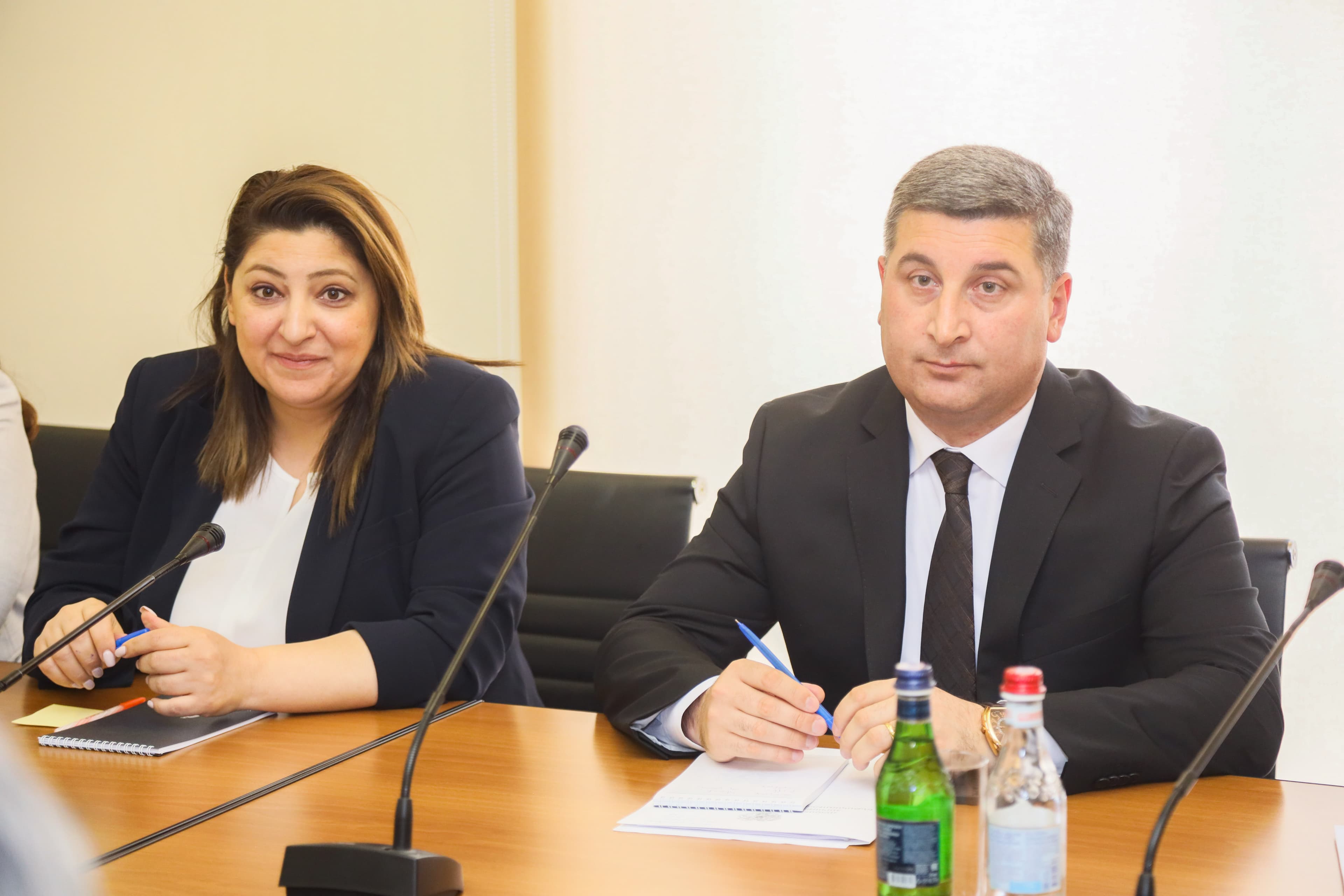 ՏԿԵ նախարարն ընդունել է ԱԶԲ Կենտրոնական և Արևմտյան Ասիայի ստորաբաժանման տրանսպորտի և կապի գծով ղեկավար Հիդեակի Իվասակի գլխավորած պատվիրակությանը